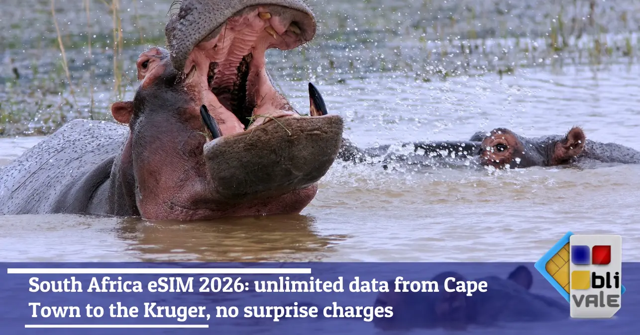 blivale-en-esim-south-africa-unlimited-643x337 South Africa eSIM 2026: unlimited data from Cape Town to the Kruger, no surprise charges