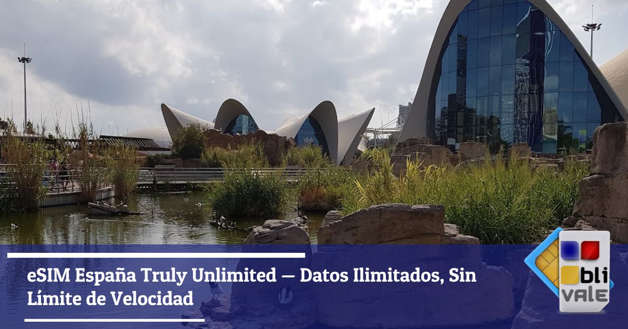blivale-es-esim-espana-proof-of-usage-48gb-643x337 eSIM Espa&ntilde;a Truly Unlimited - Datos Ilimitados, Sin L&iacute;mite de Velocidad