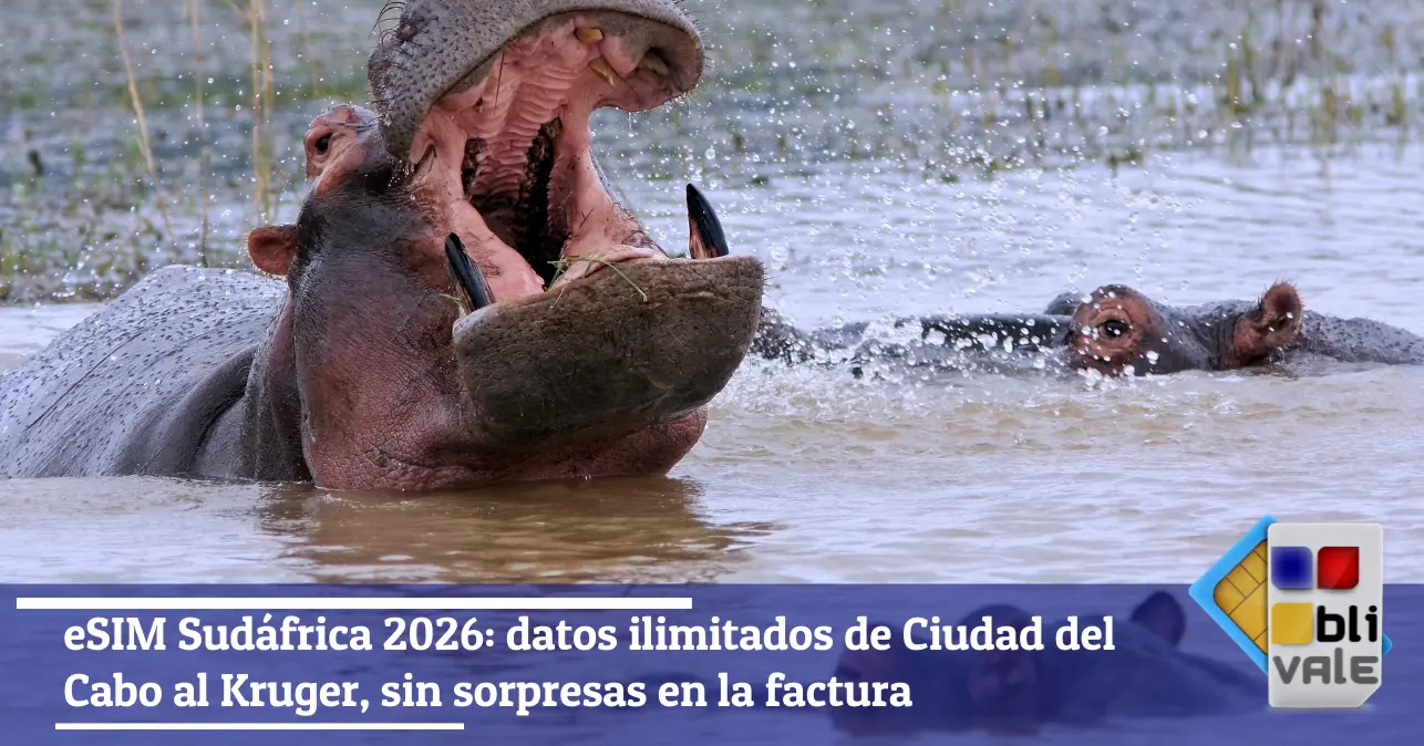 blivale-es-esim-sudafrica-ilimitada-643x337 eSIM Sud&aacute;frica 2026: datos ilimitados de Ciudad del Cabo al Kruger, sin sorpresas en la factura