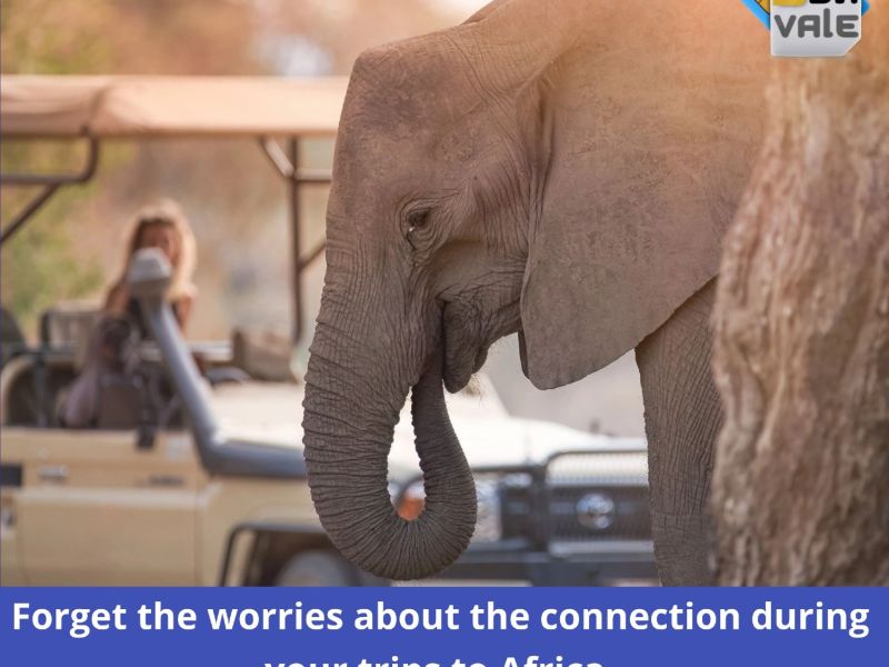 blivale-image-en-forget-the-concerns-on-the-connection-in-africa-800x800-800-600-80-c blivale image en for those who travel and need to speak multiple languagesx800
